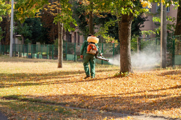 Best Residential Pest Control  in Tatamy, PA